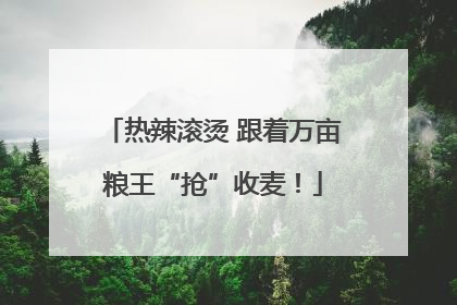 热辣滚烫 跟着万亩粮王“抢”收麦！