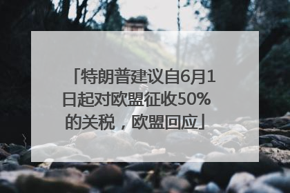 特朗普建议自6月1日起对欧盟征收50%的关税，欧盟回应