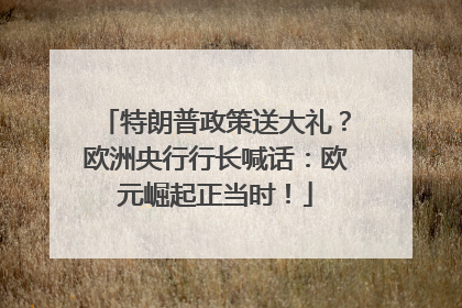 特朗普政策送大礼？欧洲央行行长喊话：欧元崛起正当时！