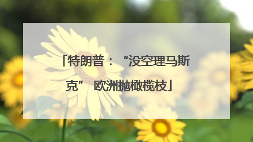 特朗普：“没空理马斯克” 欧洲抛橄榄枝