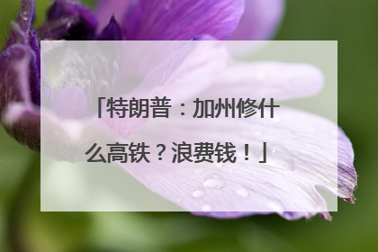 特朗普：加州修什么高铁？浪费钱！