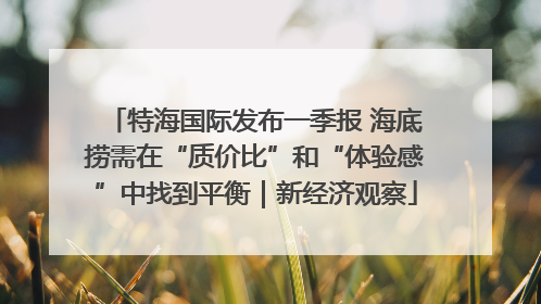 特海国际发布一季报 海底捞需在“质价比”和“体验感”中找到平衡｜新经济观察