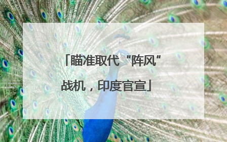 瞄准取代“阵风”战机，印度官宣