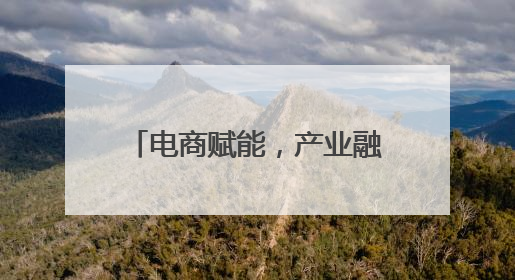 电商赋能，产业融合 平阳腾蛟打造笔记本产业新高地