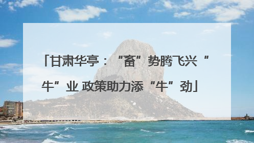 甘肃华亭：“畜”势腾飞兴“牛”业 政策助力添“牛”劲