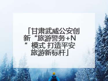 甘肃武威公安创新“旅游警务+N”模式 打造平安旅游新标杆