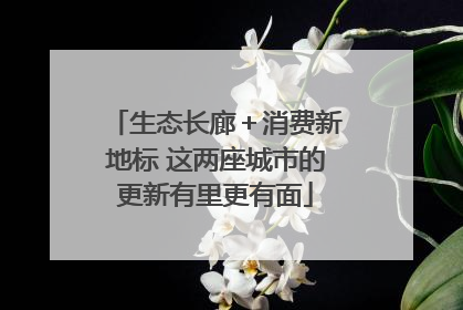 生态长廊＋消费新地标 这两座城市的更新有里更有面