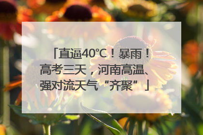直逼40℃！暴雨！高考三天，河南高温、强对流天气“齐聚”