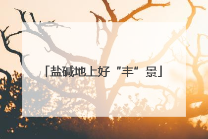 盐碱地上好“丰”景
