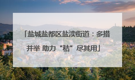 盐城盐都区盐渎街道：多措并举 助力“秸”尽其用