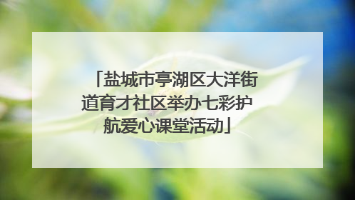 盐城市亭湖区大洋街道育才社区举办七彩护航爱心课堂活动