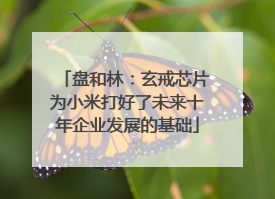 盘和林：玄戒芯片为小米打好了未来十年企业发展的基础