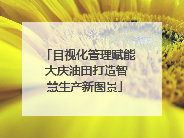 目视化管理赋能 大庆油田打造智慧生产新图景