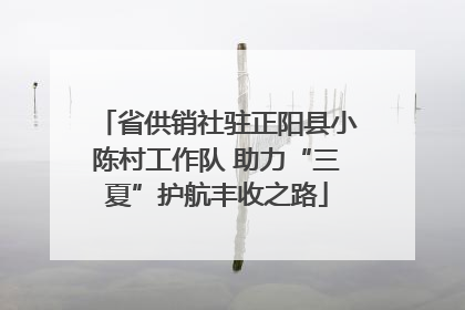 省供销社驻正阳县小陈村工作队 助力“三夏”护航丰收之路