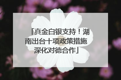 真金白银支持！湖南出台十项政策措施深化对德合作