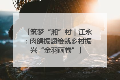 筑梦“湘”村｜江永：肉鸽振翅绘就乡村振兴“金羽画卷”