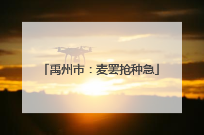 禹州市：麦罢抢种急