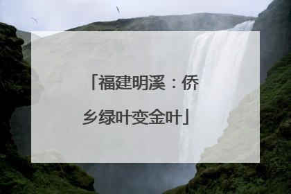 福建明溪：侨乡绿叶变金叶