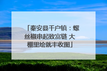 秦安县千户镇：螺丝椒串起致富链 大棚里绘就丰收图