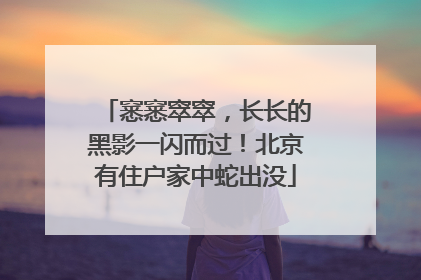 窸窸窣窣，长长的黑影一闪而过！北京有住户家中蛇出没