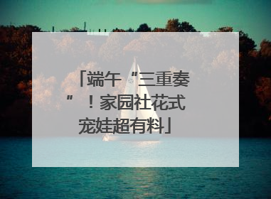 端午“三重奏”！家园社花式宠娃超有料