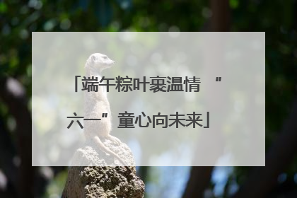 端午粽叶裹温情 “六一”童心向未来