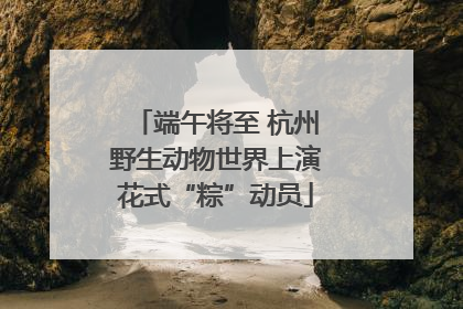 端午将至 杭州野生动物世界上演花式“粽”动员