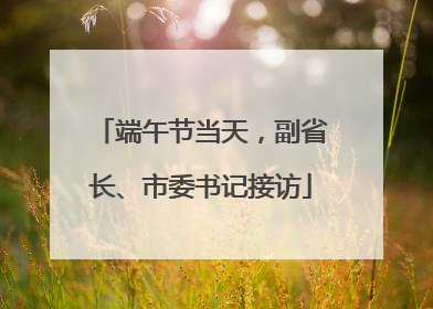 端午节当天，副省长、市委书记接访
