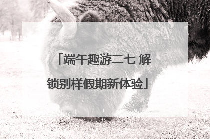 端午趣游二七 解锁别样假期新体验