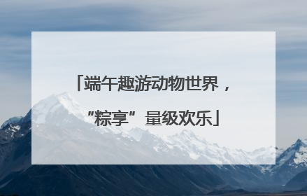 端午趣游动物世界，“粽享”量级欢乐