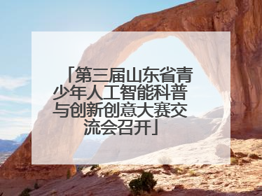 第三届山东省青少年人工智能科普与创新创意大赛交流会召开