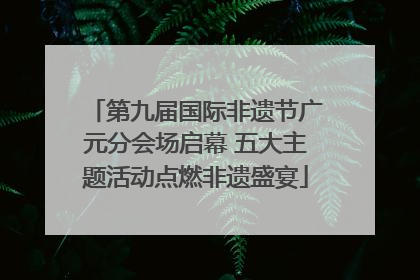 第九届国际非遗节广元分会场启幕 五大主题活动点燃非遗盛宴