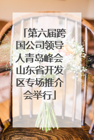 第六届跨国公司领导人青岛峰会山东省开发区专场推介会举行