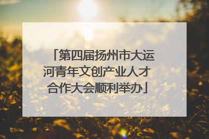 第四届扬州市大运河青年文创产业人才合作大会顺利举办