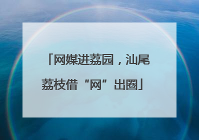 网媒进荔园，汕尾荔枝借“网”出圈