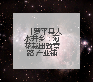 罗平县大水井乡：菊花栽出致富路 产业铺就振兴图