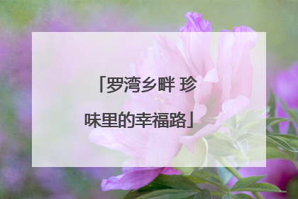 罗湾乡畔 珍味里的幸福路