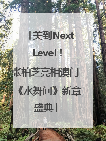 美到Next Level！张柏芝亮相澳门《水舞间》新章盛典