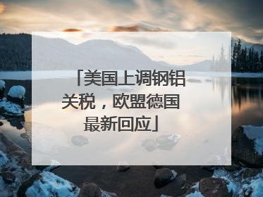 美国上调钢铝关税，欧盟德国最新回应
