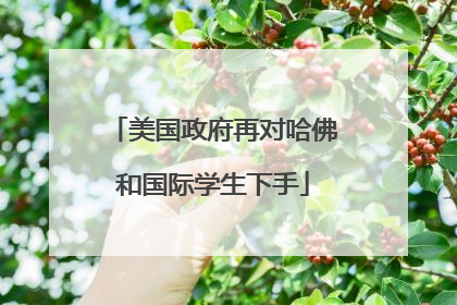 美国政府再对哈佛和国际学生下手