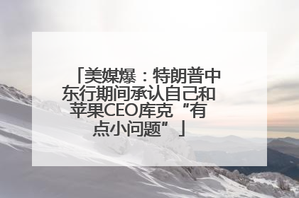 美媒爆：特朗普中东行期间承认自己和苹果CEO库克“有点小问题”