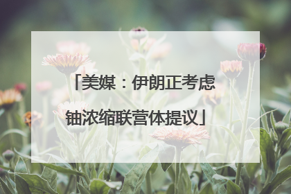 美媒：伊朗正考虑铀浓缩联营体提议