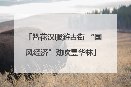 簪花汉服游古街 “国风经济”劲吹昙华林