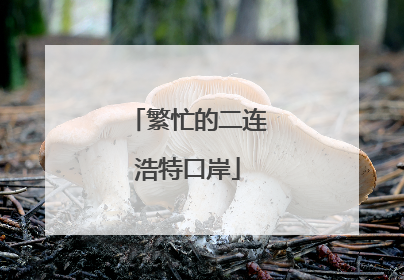 繁忙的二连浩特口岸