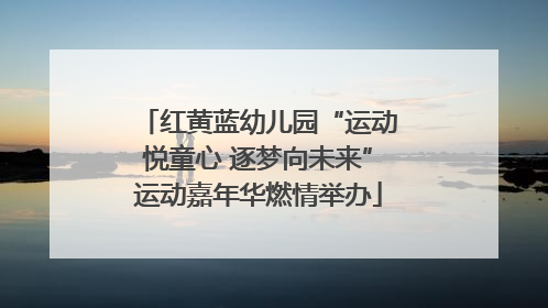 红黄蓝幼儿园“运动悦童心 逐梦向未来”运动嘉年华燃情举办