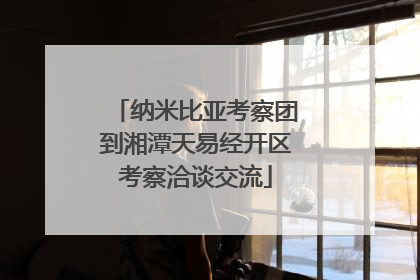 纳米比亚考察团到湘潭天易经开区考察洽谈交流