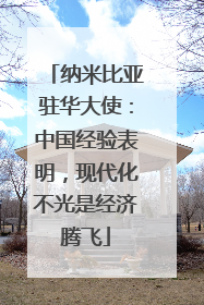 纳米比亚驻华大使：中国经验表明，现代化不光是经济腾飞