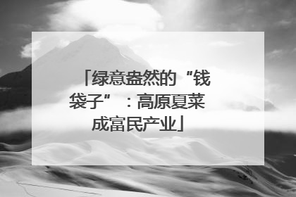 绿意盎然的“钱袋子”：高原夏菜成富民产业