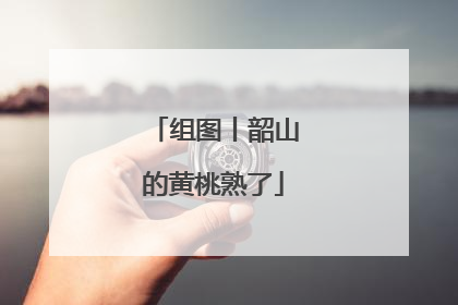 组图丨韶山的黄桃熟了