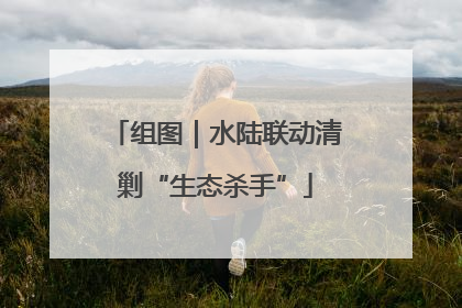 组图｜水陆联动清剿“生态杀手”